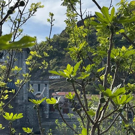 Chez Oanel Villa Andance Dış mekan fotoğraf